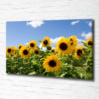 Cuadro canvas con impresión uv duradera horizontal Girasoles