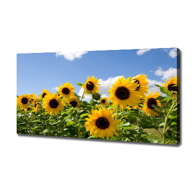 Cuadro canvas con impresión uv duradera horizontal Girasoles
