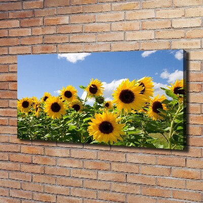 Cuadro canvas con impresión uv duradera horizontal Girasoles