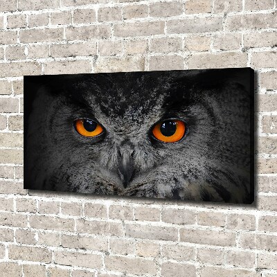Cuadro canvas con impresión uv duradera horizontal Ojos de búho diabólicos