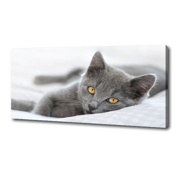 Cuadro canvas moderno de gran formato horizontal gato gris