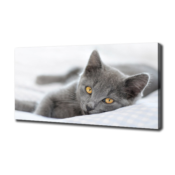 Cuadro canvas moderno de gran formato horizontal gato gris