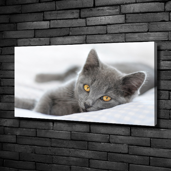 Cuadro canvas moderno de gran formato horizontal gato gris