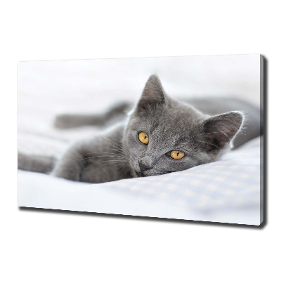 Cuadro canvas moderno de gran formato horizontal gato gris