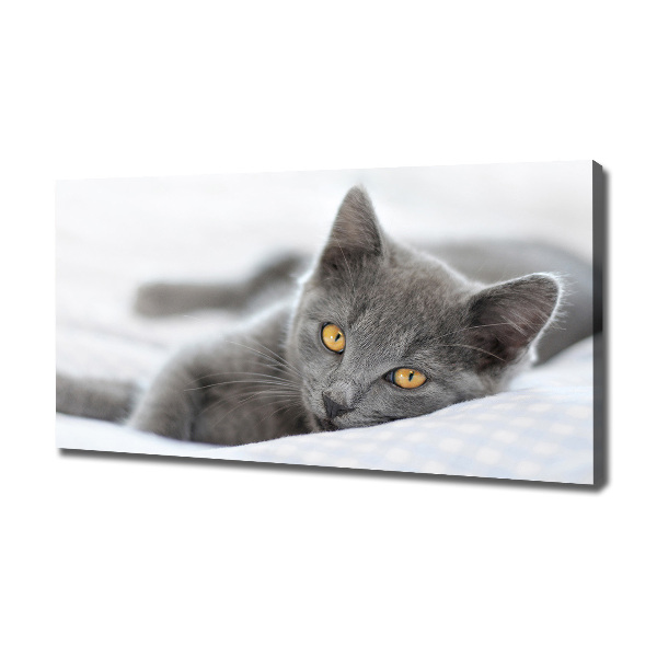 Cuadro canvas moderno de gran formato horizontal gato gris