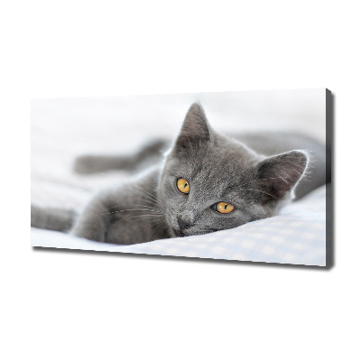 Cuadro canvas moderno de gran formato horizontal gato gris