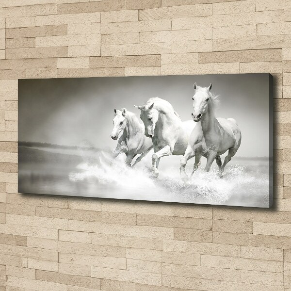 Foto en lienzo con acabado profesional horizontal Caballos blancos