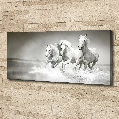 Foto en lienzo con acabado profesional horizontal Caballos blancos