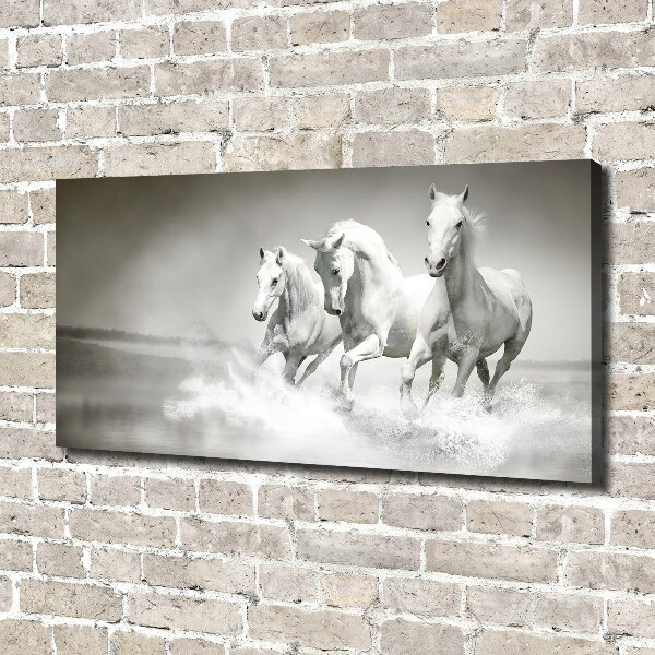 Foto en lienzo con acabado profesional horizontal Caballos blancos