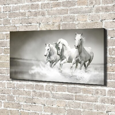 Foto en lienzo con acabado profesional horizontal Caballos blancos