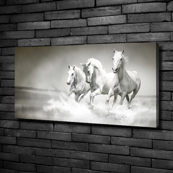 Foto en lienzo con acabado profesional horizontal Caballos blancos
