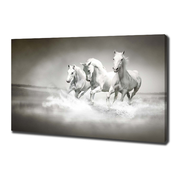 Foto en lienzo con acabado profesional horizontal Caballos blancos