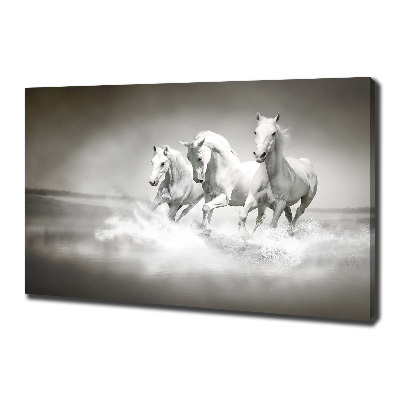Foto en lienzo con acabado profesional horizontal Caballos blancos