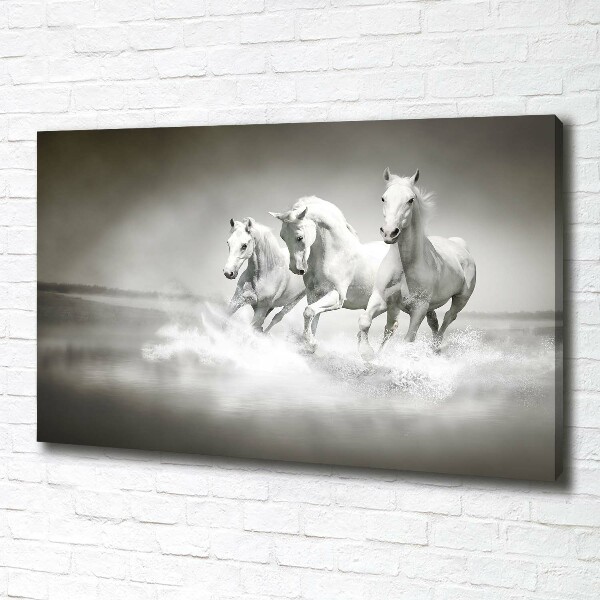 Foto en lienzo con acabado profesional horizontal Caballos blancos
