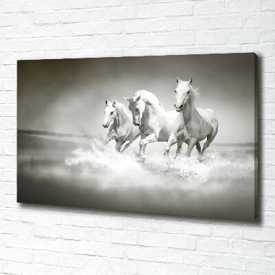 Foto en lienzo con acabado profesional horizontal Caballos blancos