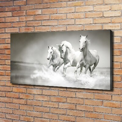 Foto en lienzo con acabado profesional horizontal Caballos blancos
