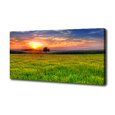 Cuadro canvas con impresión uv duradera horizontal Pradera al atardecer