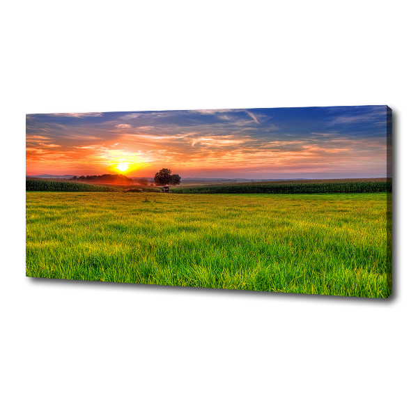 Cuadro canvas con impresión uv duradera horizontal Pradera al atardecer