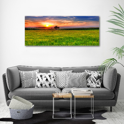 Cuadro canvas con impresión uv duradera horizontal Pradera al atardecer