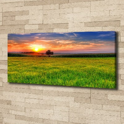 Cuadro canvas con impresión uv duradera horizontal Pradera al atardecer