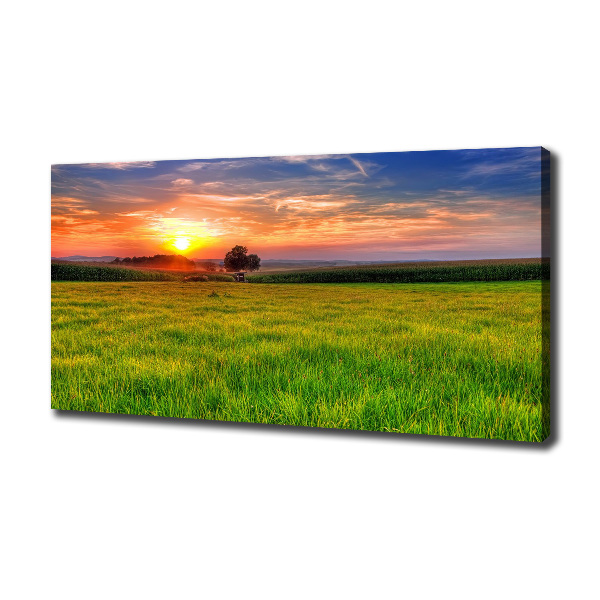 Cuadro canvas con impresión uv duradera horizontal Pradera al atardecer