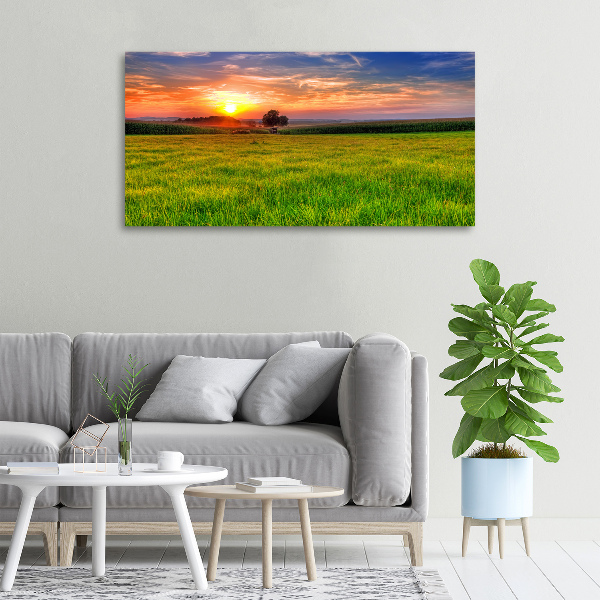 Cuadro canvas con impresión uv duradera horizontal Pradera al atardecer