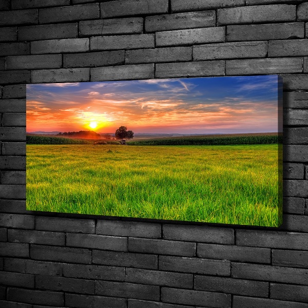 Cuadro canvas con impresión uv duradera horizontal Pradera al atardecer