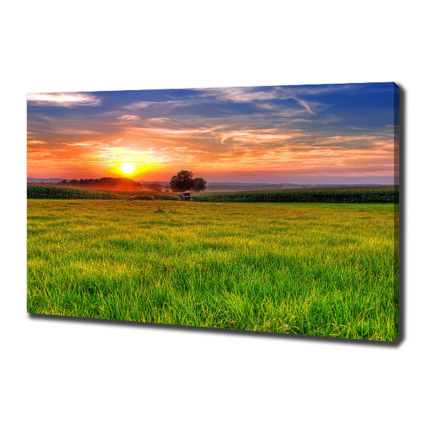 Cuadro canvas con impresión uv duradera horizontal Pradera al atardecer