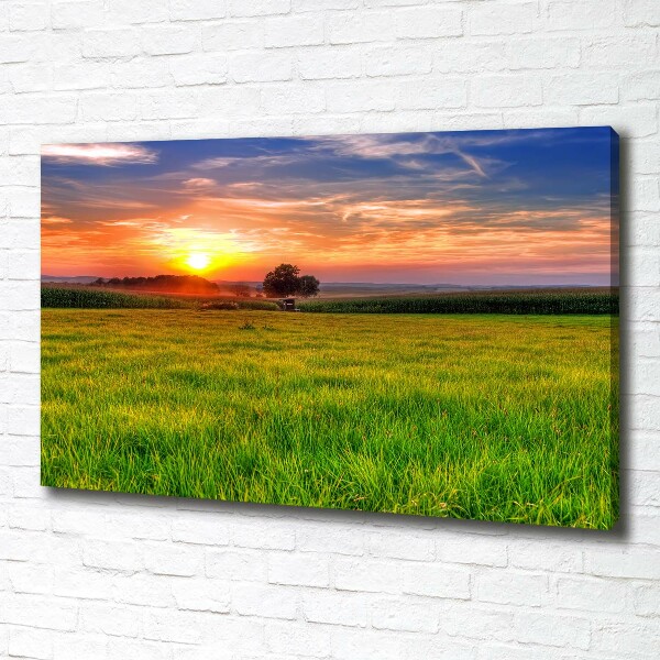 Cuadro canvas con impresión uv duradera horizontal Pradera al atardecer
