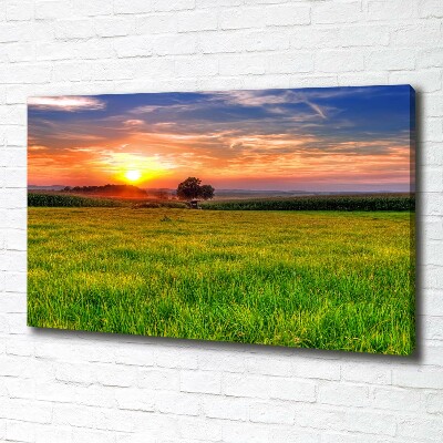 Cuadro canvas con impresión uv duradera horizontal Pradera al atardecer