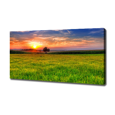 Cuadro canvas con impresión uv duradera horizontal Pradera al atardecer