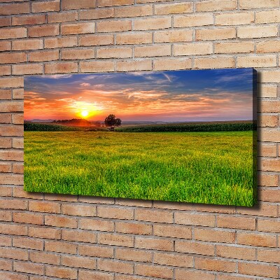 Cuadro canvas con impresión uv duradera horizontal Pradera al atardecer