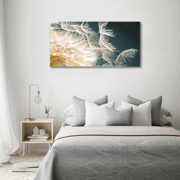 Cuadro canvas moderno de gran formato horizontal semillas de diente de león