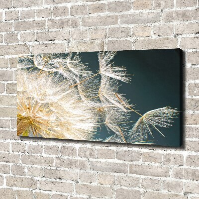 Cuadro canvas moderno de gran formato horizontal semillas de diente de león