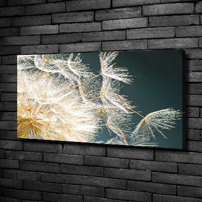 Cuadro canvas moderno de gran formato horizontal semillas de diente de león