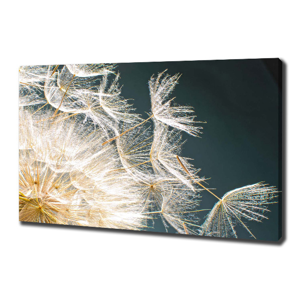 Cuadro canvas moderno de gran formato horizontal semillas de diente de león