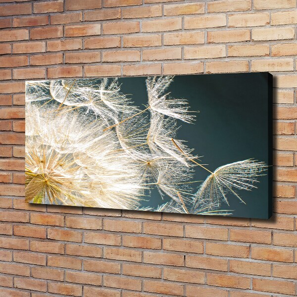 Cuadro canvas moderno de gran formato horizontal semillas de diente de león