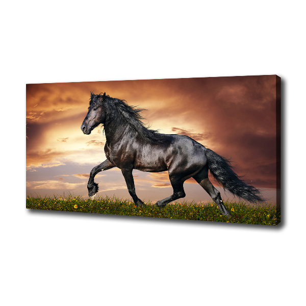 Cuadro canvas con impresión uv duradera horizontal Caballo de trote