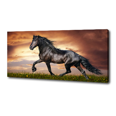 Cuadro canvas con impresión uv duradera horizontal Caballo de trote