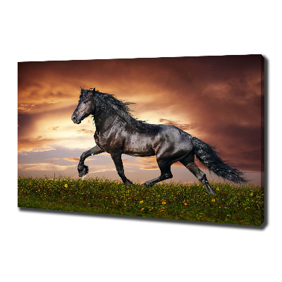 Cuadro canvas con impresión uv duradera horizontal Caballo de trote