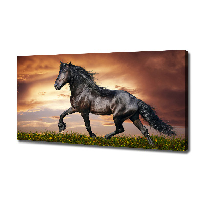 Cuadro canvas con impresión uv duradera horizontal Caballo de trote