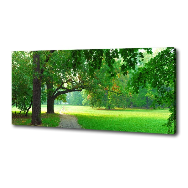 Fotocuadro en lienzo de alta calidad horizontal Parque en otoño