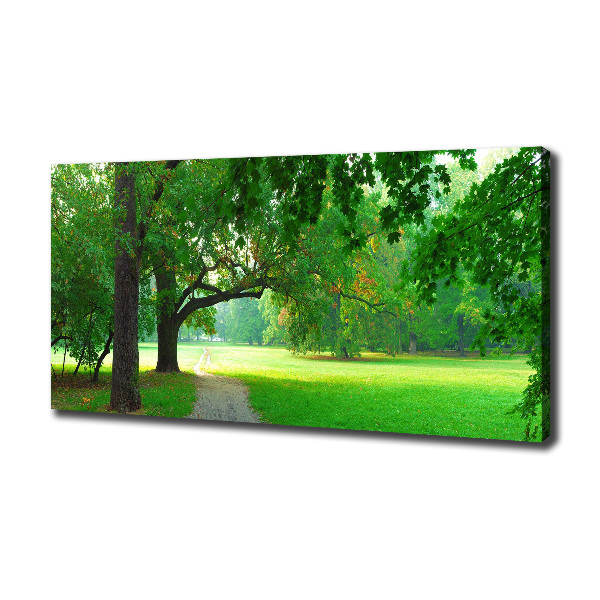 Fotocuadro en lienzo de alta calidad horizontal Parque en otoño