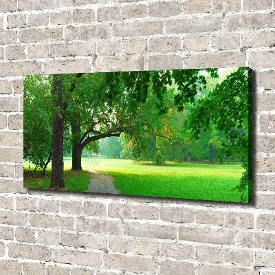Fotocuadro en lienzo de alta calidad horizontal Parque en otoño