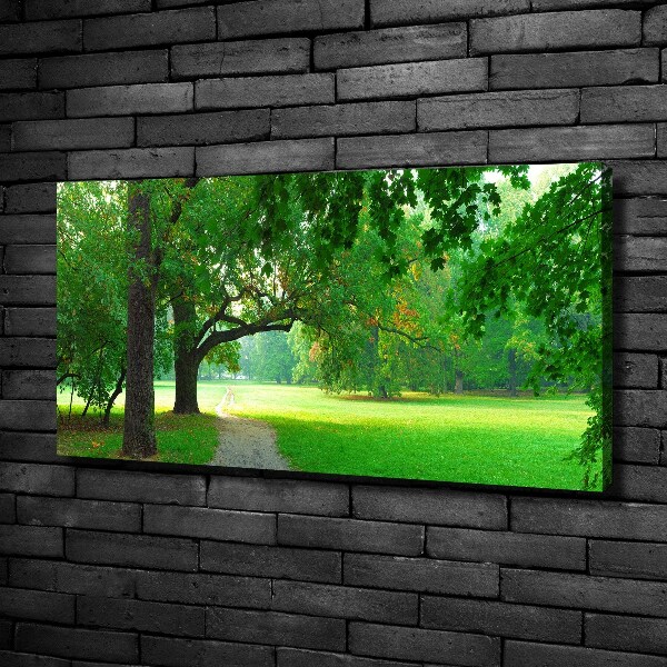 Fotocuadro en lienzo de alta calidad horizontal Parque en otoño