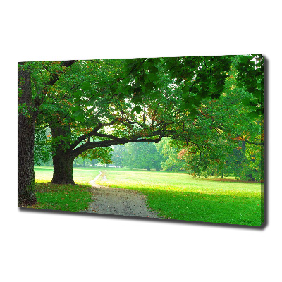 Fotocuadro en lienzo de alta calidad horizontal Parque en otoño