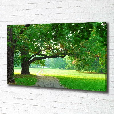 Fotocuadro en lienzo de alta calidad horizontal Parque en otoño