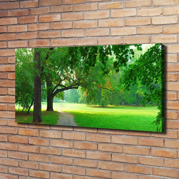 Fotocuadro en lienzo de alta calidad horizontal Parque en otoño