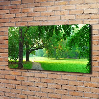 Fotocuadro en lienzo de alta calidad horizontal Parque en otoño