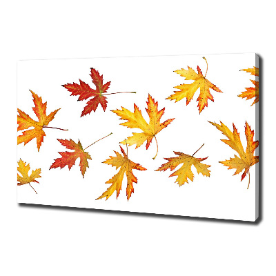 Cuadro canvas con impresión uv duradera horizontal Hojas de otoño